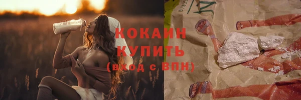 spice Богородск