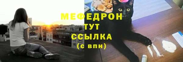 spice Богородск