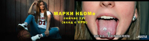 spice Богородск