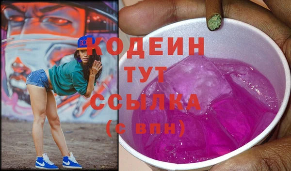 spice Богородск