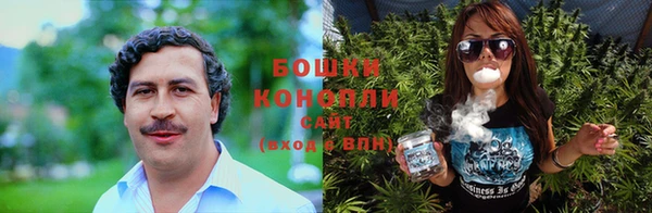 spice Богородск